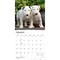 BrownTrout; I Love Puppies | 2027 12 x 24 Inch (Hanging) Monthly Square Wall Calendar | Plastic-Free; Category:Wall Calendars; Image:4
